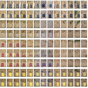 English: illustration of the Oxo-Bio-Degradati...