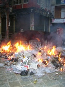 burning plastic & cow