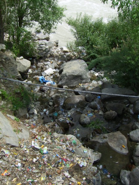 Yummy yummy hormone like chemicals