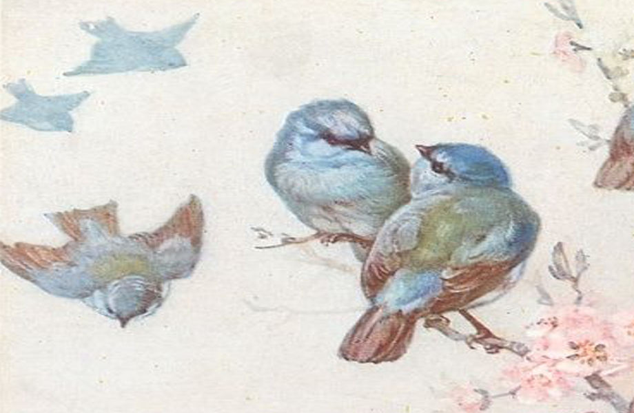 No more twitter shares